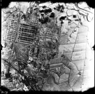 Birkenau Extermination Camp - NARA - 306028