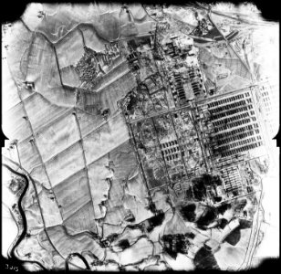 Birkenau Extermination Camp - NARA - 306041