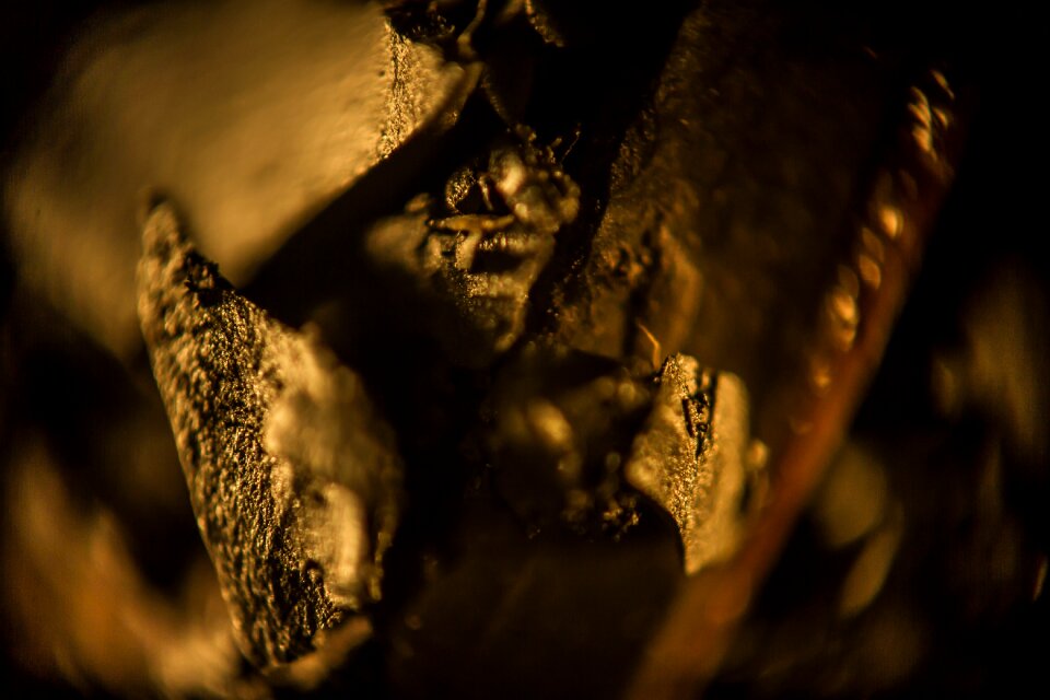 Creative macro grunge