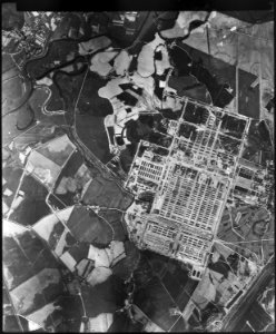 Birkenau Extermination Camp - NARA - 305986