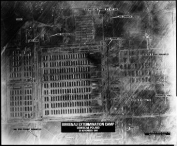 Birkenau Extermination Camp - Oswiecim, Poland - NARA - 305906