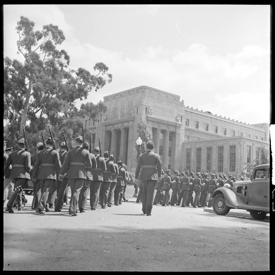 Berkeley, California. University of California Student Peace Strike. Psychology, anatomy and war - NARA - 532120