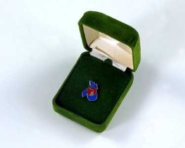 Bicentennial Lapel Pin photo