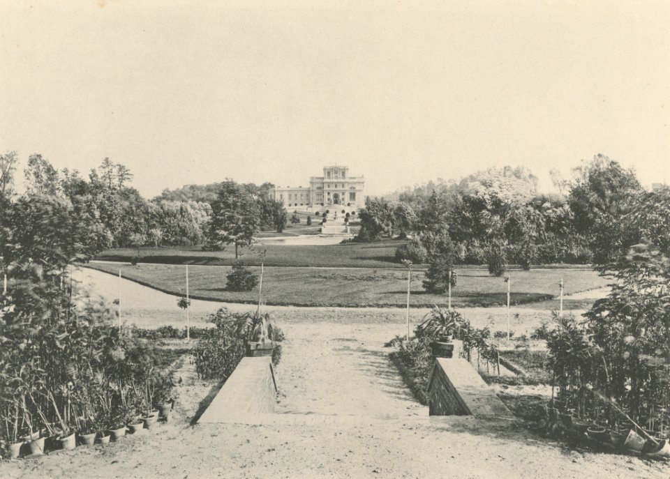 Bronisław Wilkoszewski – Park i pałac w Julianowie