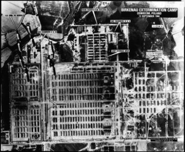 Birkenau Extermination Camp - Oswiecim, Poland - NARA - 305905