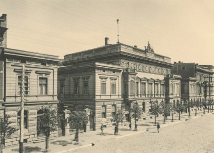 Bronisław Wilkoszewski – Pałac J. Heinzla
