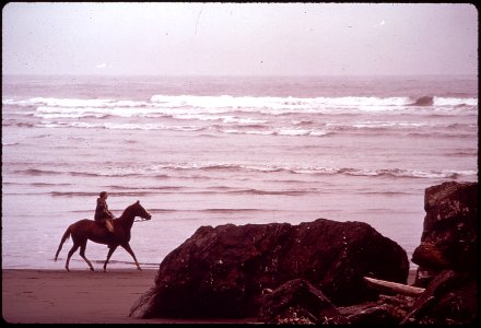 CALIFORNIA--MOONSTONE BEACH - NARA - 542885