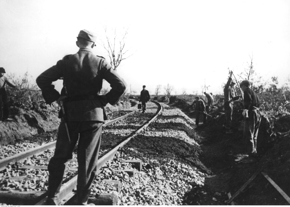 Budowa linii kolejowej na wybrzeżu włoskim dla potrzeb Wehrmachtu (2-2463)