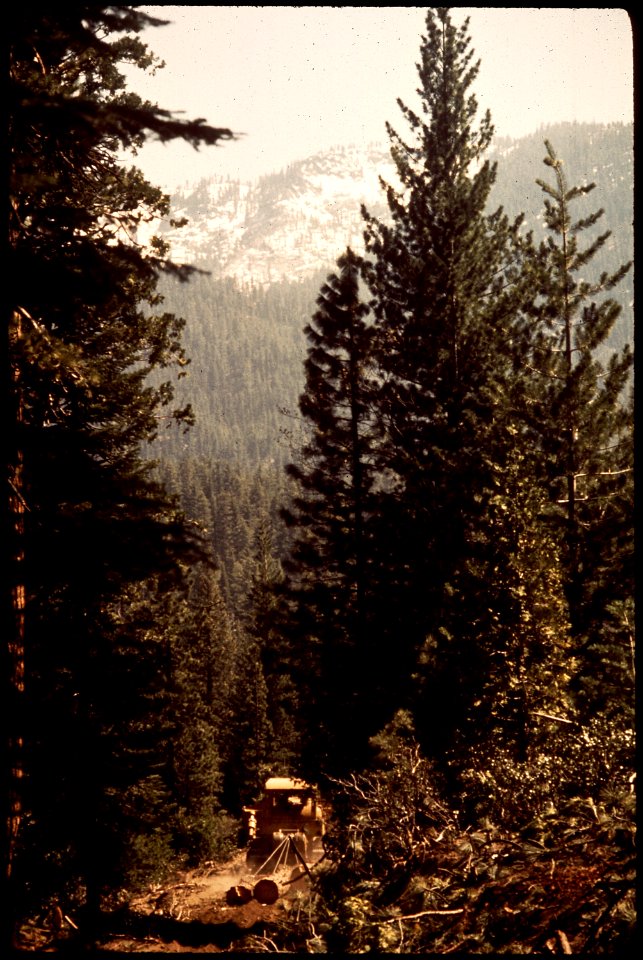 CALIFORNIA--SIERRA NATIONAL FOREST - NARA - 542624