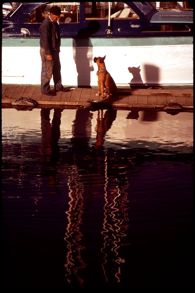 CALIFORNIA--BODEGA BAY HARBOR - NARA - 542874
