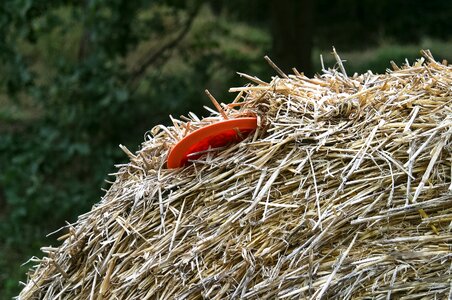Straw bales straw summer