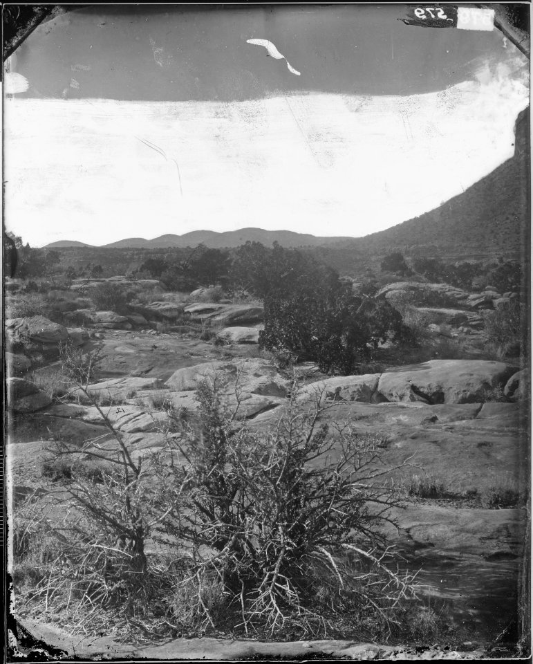 CANYON OF KANAB WASH, ARIZONA - NARA - 524347