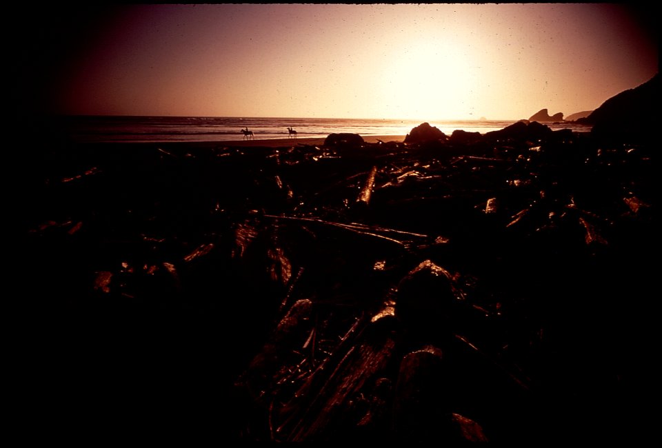 CALIFORNIA--MOONSTONE BEACH - NARA - 542890