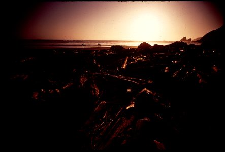 CALIFORNIA--MOONSTONE BEACH - NARA - 542890