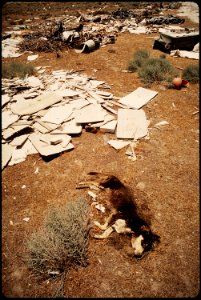 CALIFORNIA--SAN JOAQUIN VALLEY - NARA - 542541