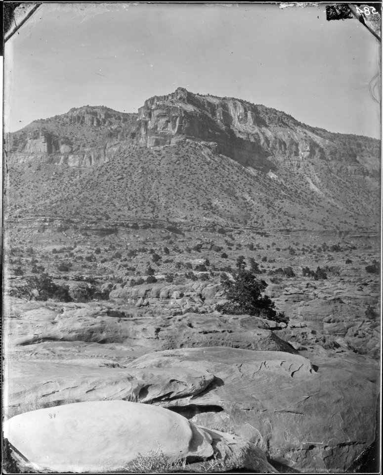 CANYON OF KANAB WASH LOOKING NORTH - NARA - 524352