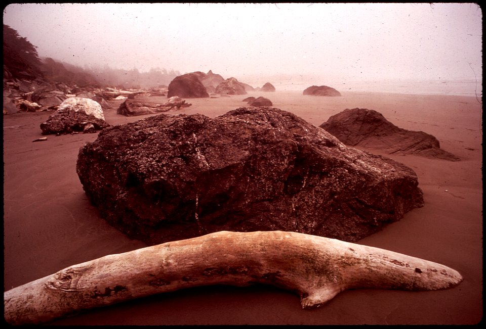 CALIFORNIA--MOONSTONE BEACH - NARA - 542887