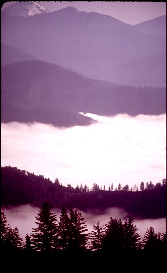 CALIFORNIA--SISKIYOU NATIONAL FOREST - NARA - 542848
