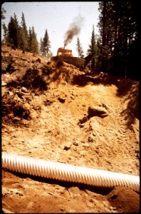 CALIFORNIA--SIERRA NATIONAL FOREST - NARA - 542614