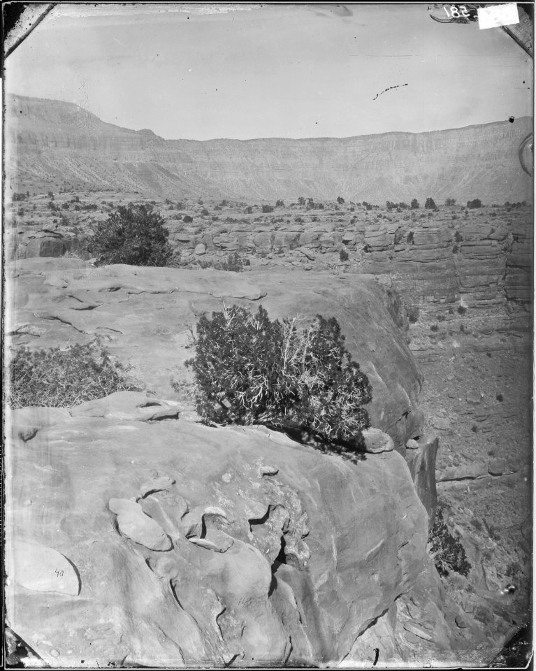 CANYON OF KANAB WASH - NARA - 524349