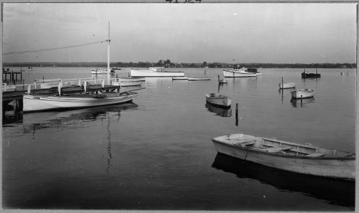 Charles County, Maryland. Oyster boats and pleasure crafts docked in the Patuxent River at Benedict. . . . - NARA - 521567