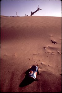 CALIFORNIA--ARCATA BEACH - NARA - 542809