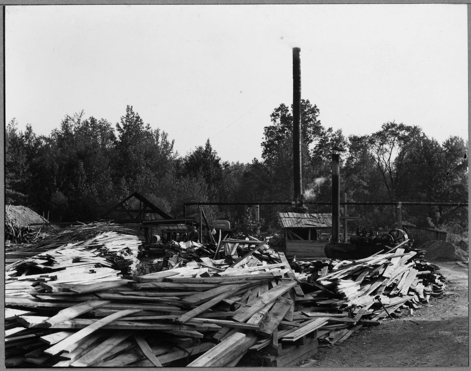 Charles County, Maryland. Lumbering and sale of pulp wood is an important economic interest in the N . . . - NARA - 521563