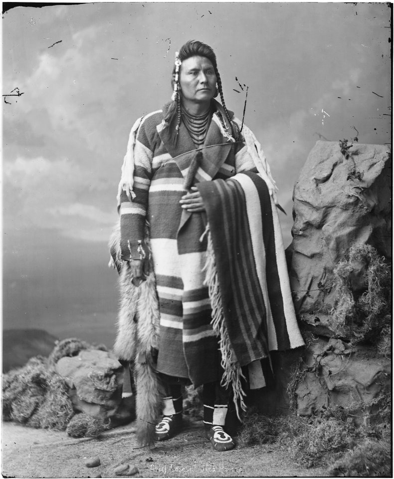 Chief Joseph, Nez Perce, when young - NARA - 523607
