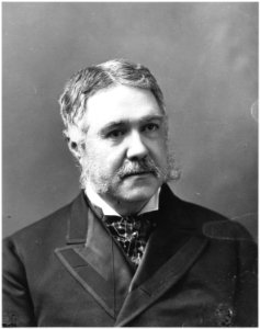 Chester A. Arthur - NARA - 532289