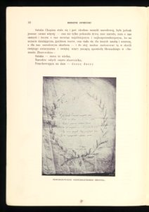 Chopin 1909 (85787389)