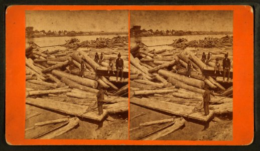 Children perched on logs, by Baldwin, Schuyler C. (Schuyler Colfax), 1823-1900