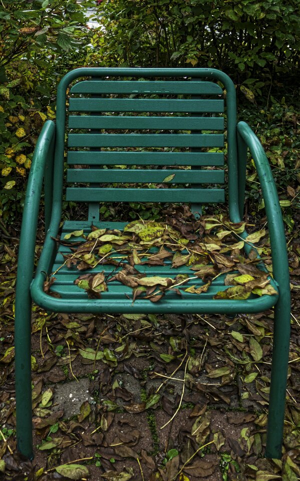 Leaves autumn impression