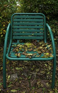 Leaves autumn impression