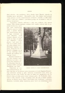 Chopin 1909 (85787775)