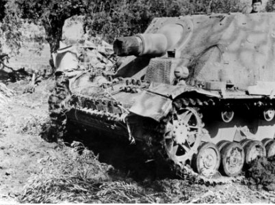 Ciężkie działo szturmowe Brummbar na froncie pod Nettuno - Anzio (2-2176)