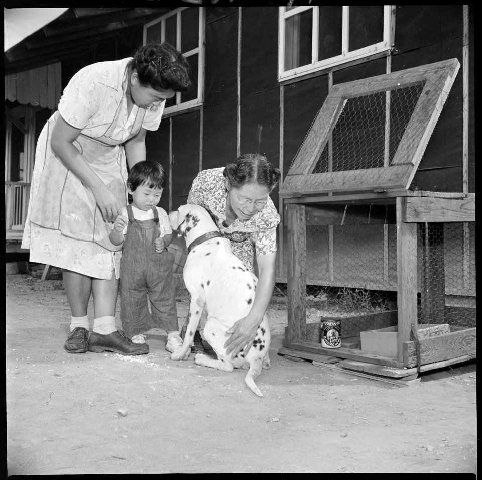Closing of the Jerome Center, Denson, Arkansas. A little girl is consoled as the closing of the Jer . . . - NARA - 539653