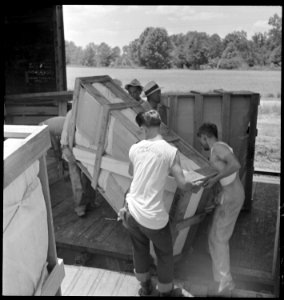 Closing of the Jerome Relocation Center, Denson, Arkansas. Carloading was heavy work in the humid A . . . - NARA - 539651