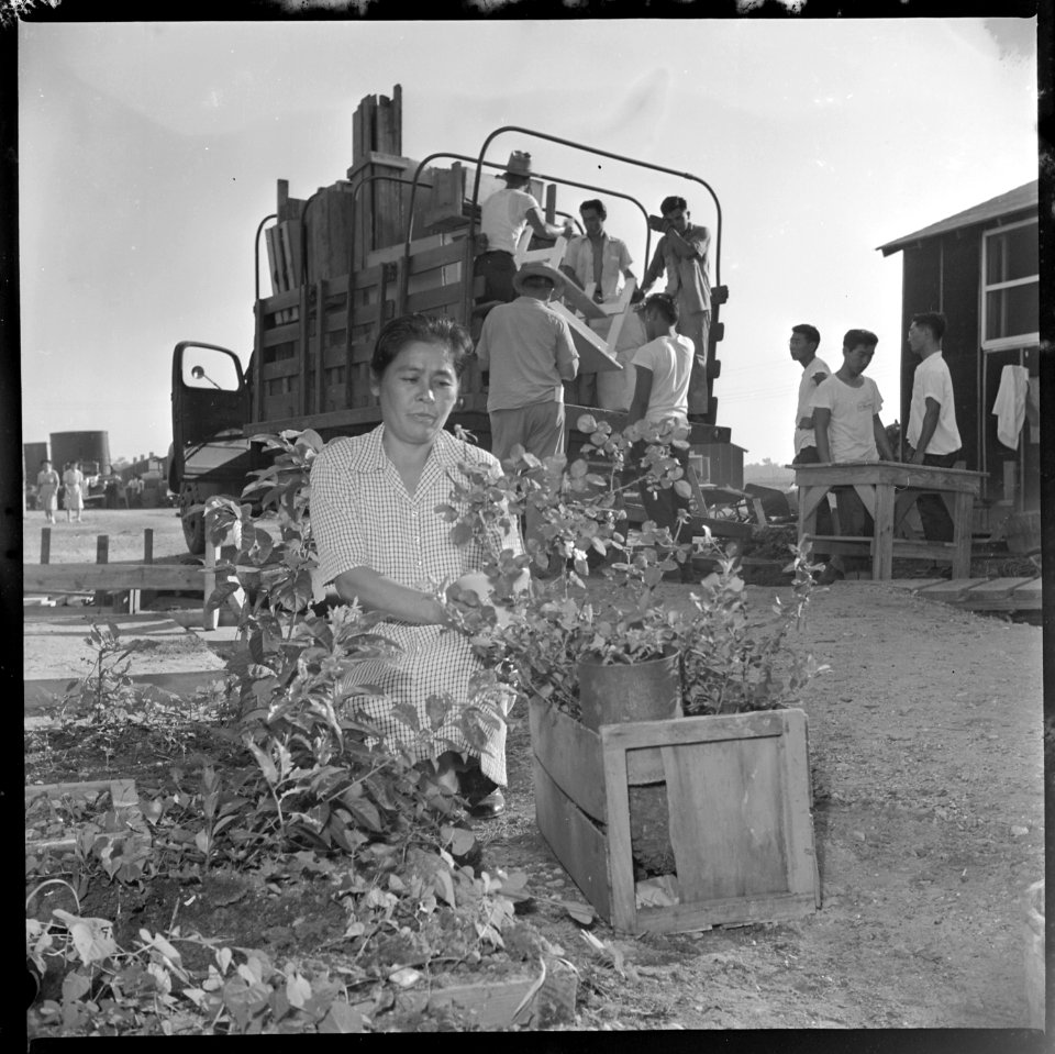 Closing of the Jerome Center, Denson, Arkansas. Mrs. S. Matsunaga, a Jerome resident, takes up her . . . - NARA - 539630