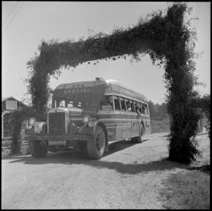 Closing of the Jerome Relocation Center, Denson, Arkansas. A bus load of Jerome residents are seen . . . - NARA - 539774