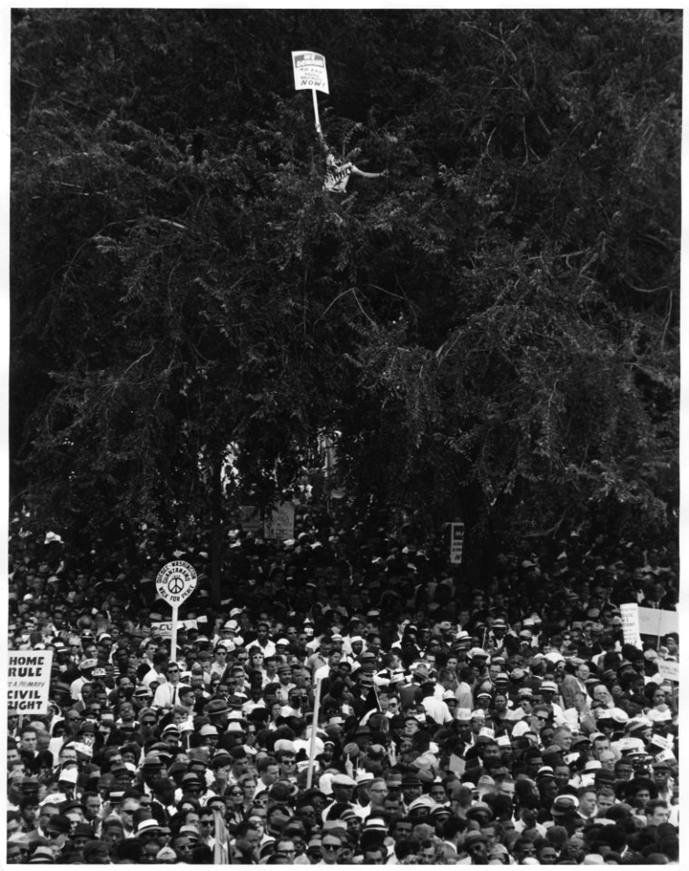 Civil Rights March on Washington, D.C. (Marchers including one man perched in a tree.) - NARA - 542043