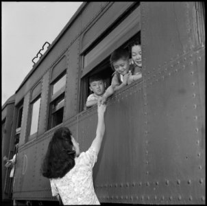 Closing of the Jerome Relocation Center, Denson, Arkansas. Fairwell hand clasps as the train bearin . . . - NARA - 539762