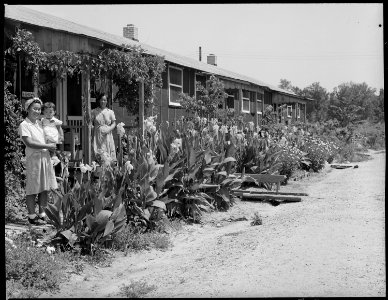 Closing of the Jerome Relocation Center, Denson, Arkansas. Block 44 in the Jerome Center is typical . . . - NARA - 539669