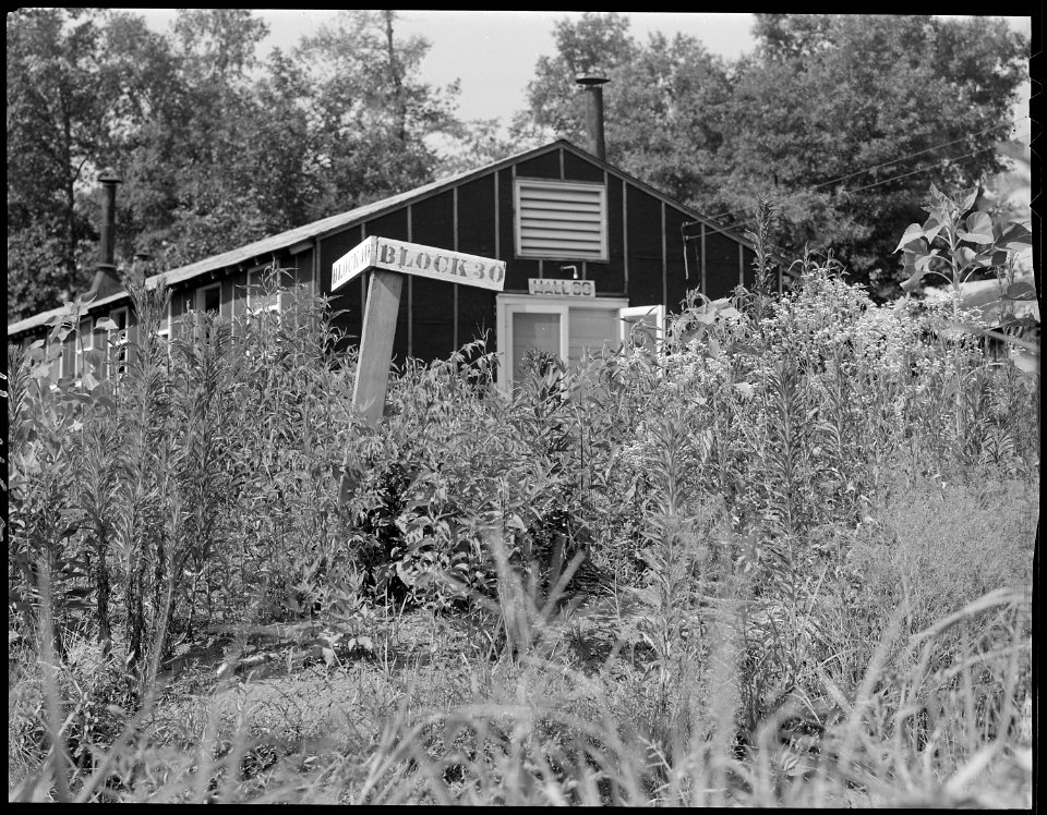 Closing of the Jerome Relocation Center, Denson, Arkansas. Block 30 goes back to nature. Some of t . . . - NARA - 539681