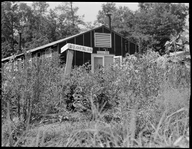 Closing of the Jerome Relocation Center, Denson, Arkansas. Block 30 goes back to nature. Some of t . . . - NARA - 539681