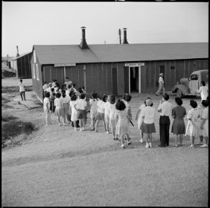 Closing of the Jerome Relocation Center, Denson, Arkansas. Ice is at a premium in the Jerome Center . . . - NARA - 539779