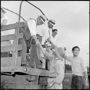 Closing of the Jerome Relocation Center, Denson, Arkansas. Japanese-American evacuees are constantl . . . - NARA - 539803