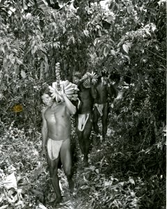 Choco tribesmen photo