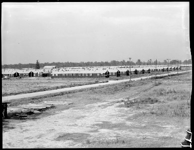 Closing of the Jerome Relocation Center, Denson, Arkansas. A view of one end of the evacuated Jerom . . . - NARA - 539668