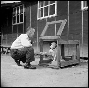 Closing of the Jerome Relocation Center, Denson, Arkansas. Henry Ishino, an evacuee resident of the . . . - NARA - 539654