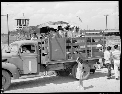 Closing of the Jerome Relocation Center, Denson, Arkansas. One of the many truck loads of Jerome re . . . - NARA - 539674